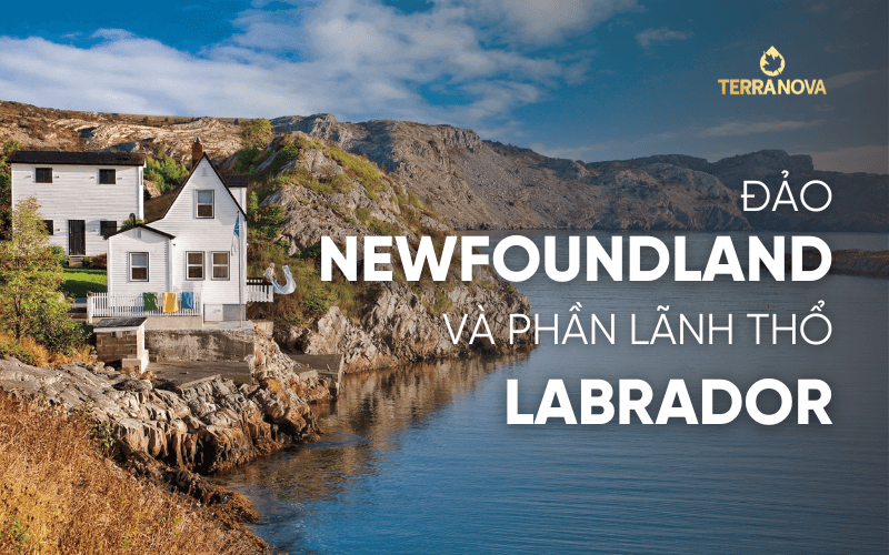 Newfoundland và Labrador là tỉnh bang nằm ở bờ Đông Canada, gồm nhiều hòn đảo với dân cư chủ yếu tập trung tại bán đảo Avalon. Dù dân số không lớn, khu vực này vẫn có nhiều cơ hội việc làm trong các ngành khai thác và sản xuất.
