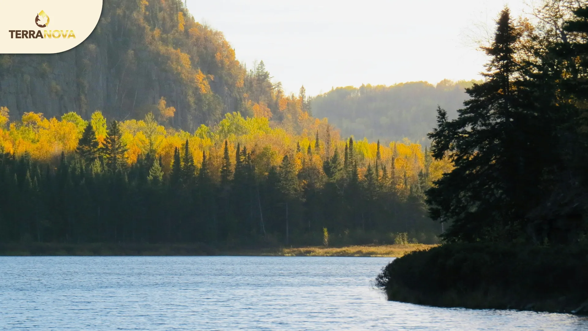 Vì sao nên định cư tại Thunder Bay? | TerraNova