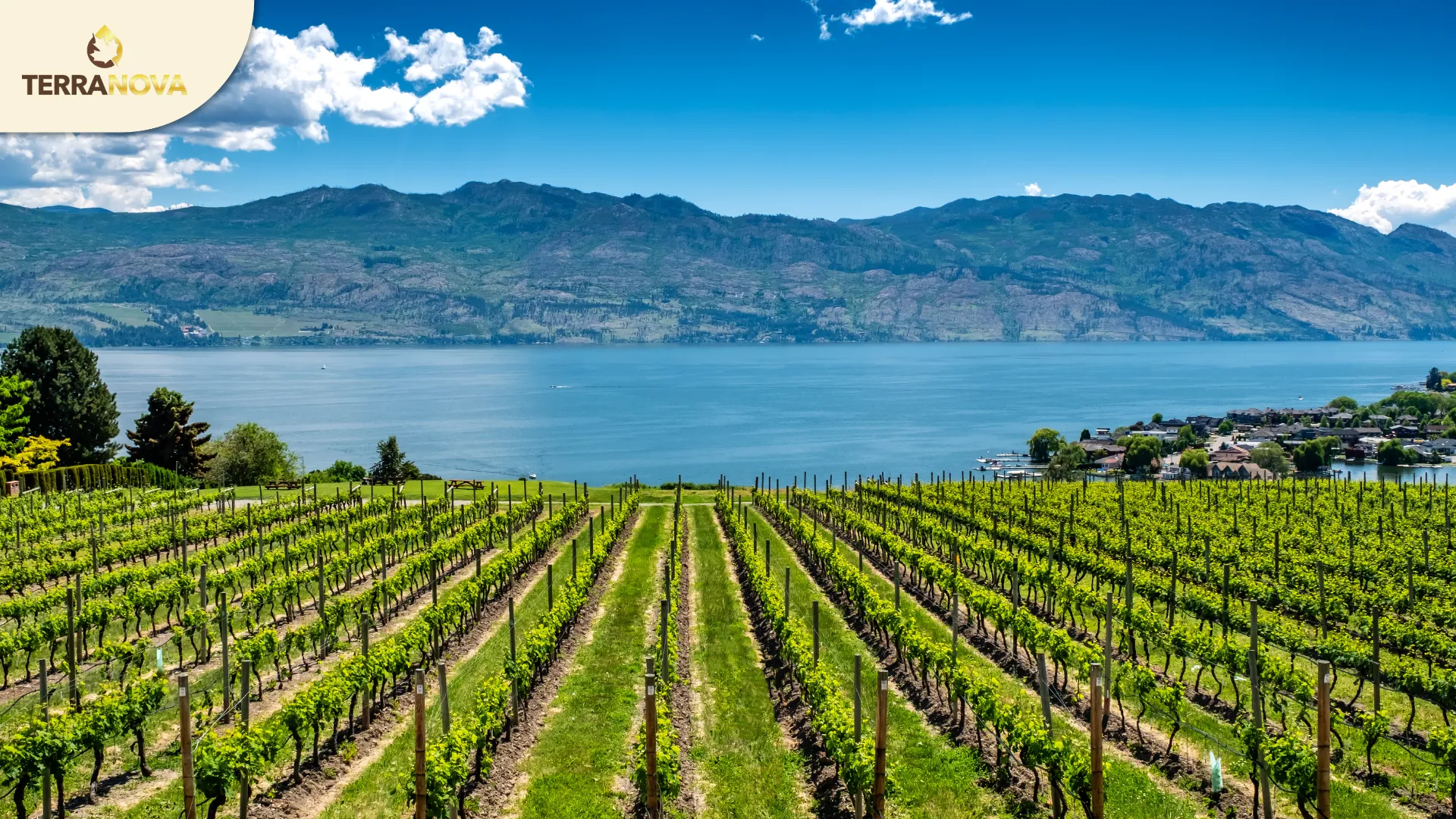 Tổng quan North Okanagan-Shuswap | TerraNova