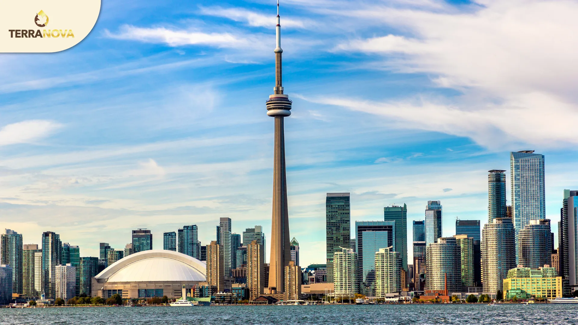 Làm sao để chọn đúng đơn vị tư vấn định cư Canada? | TerraNova