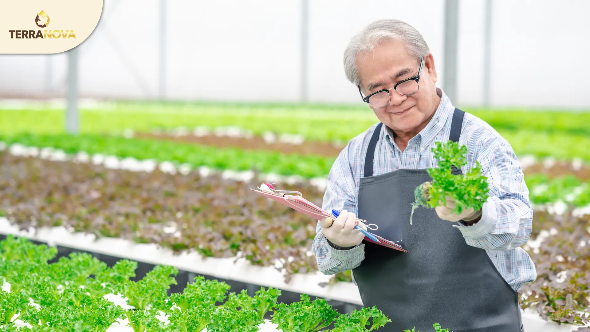 Visa lao động tay nghề là gì? - Đi lao động Úc | TerraNova