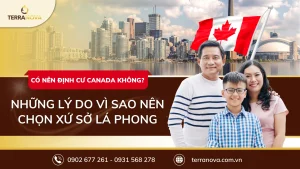 Có nên định cư Canada không? - TerraNova