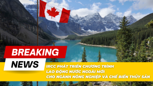 IRCC phát triển Chương Trình Lao Động Nước Ngoài mới cho ngành nông nghiệp và chế biến thủy sản