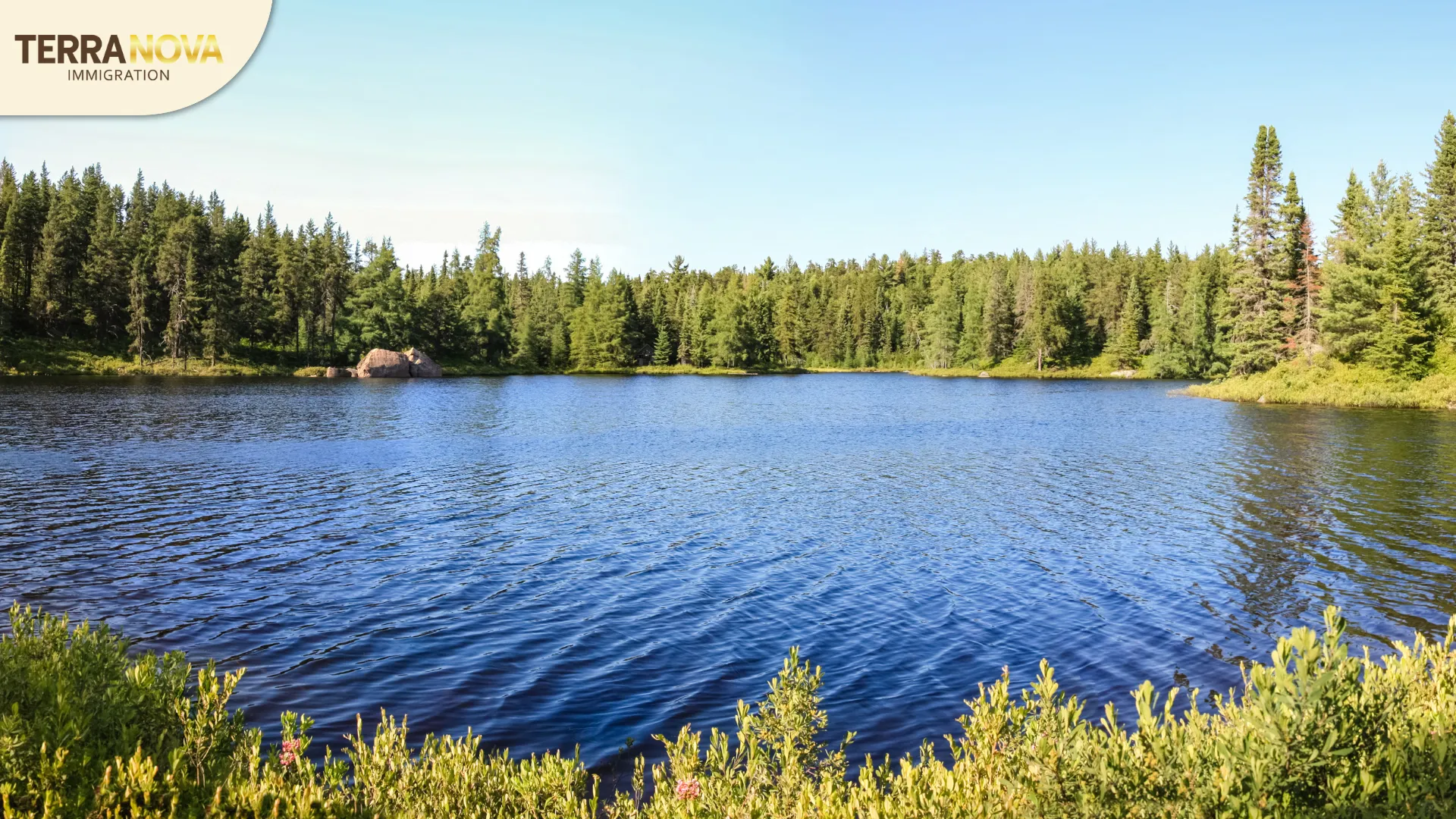 Vì sao Sudbury trở thành điểm đến tiềm năng trong RCIP? - Định cư Sudbury, Ontario | Terra Nova