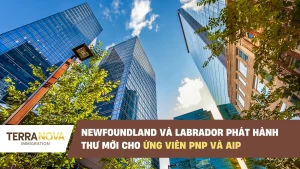 Newfoundland và Labrador phát hành thư mời cho ứng viên PNP và AIP