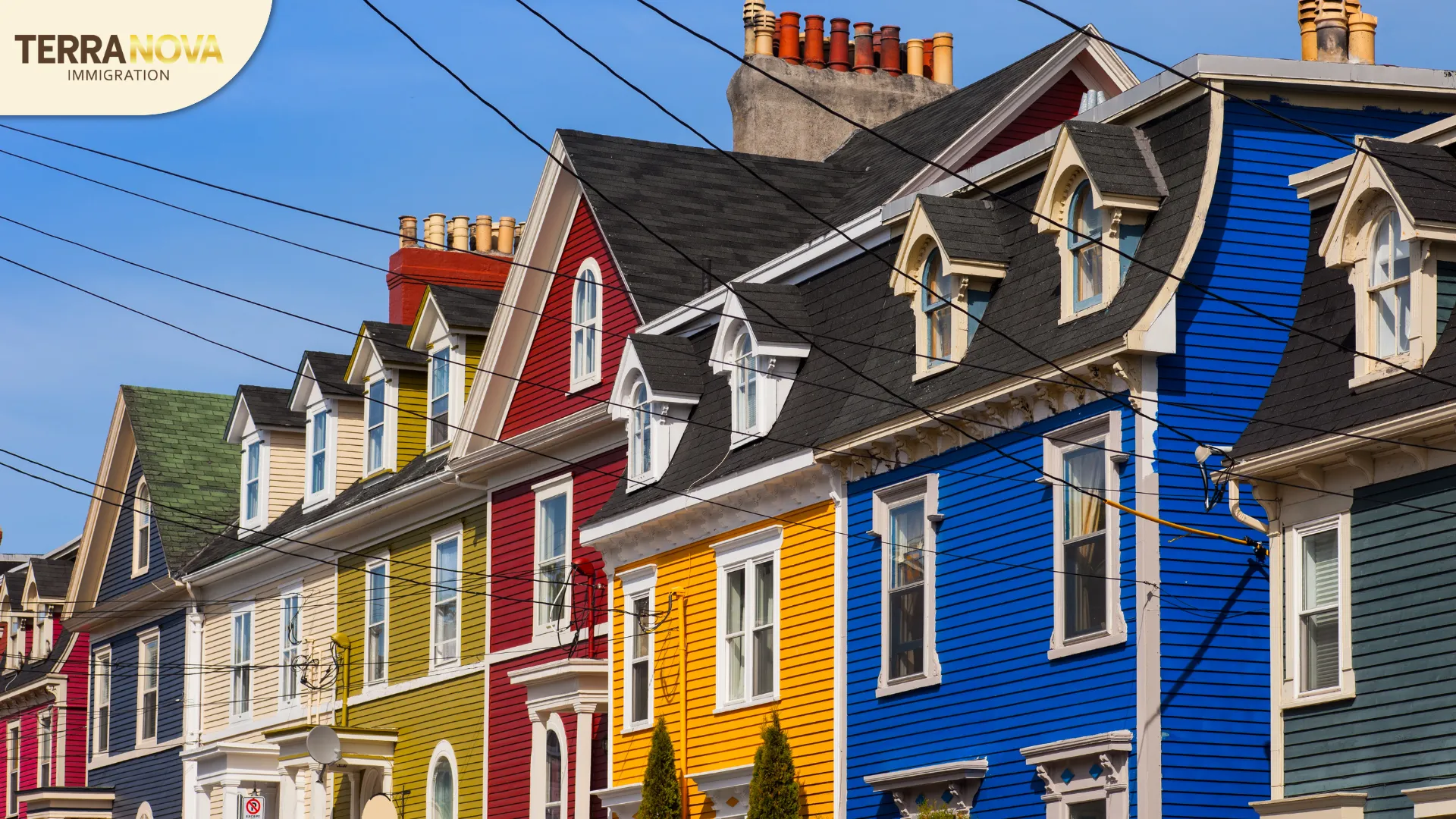 Đề cử tỉnh bang Newfoundland and Labrador (NLPNP) yêu cầu gì?