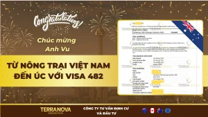 Từ nông trại Việt Nam đến Úc: Câu chuyện Visa 482 ngành bò sữa của anh Vũ