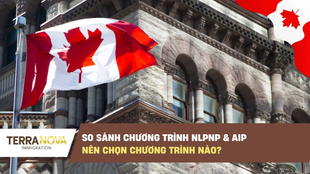 So sánh NLPNP và AIP: Nên chọn chương trình nào?