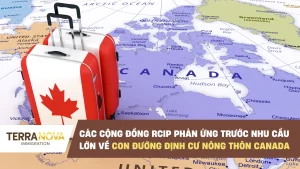 Các cộng đồng tham gia RCIP phản hồi trước nhu cầu lớn đối với con đường định cư nông thôn mới của Canada