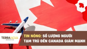 TIN NÓNG: Số lượng người tạm trú đến Canada giảm mạnh