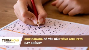 RCIP Canada có yêu cầu tiếng Anh IELTS hay không?