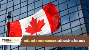 Điều kiện RCIP Canada mới nhất năm 2025 - TerraNova