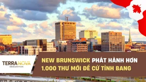 New Brunswick phát hành hơn 1.000 thư mời Đề Cử Tỉnh Bang