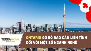 Ontario sẽ gỡ bỏ rào cản liên tỉnh đối với các ngành nghề có điều kiện hành nghề