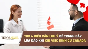 Top 4 điều cần lưu ý để tránh bẫy lừa đảo khi xin việc định cư Canada