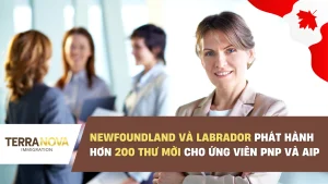 Newfoundland và Labrador phát hành hơn 200 thư mời cho ứng viên PNP và AIP