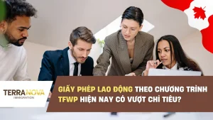Giấy Phép Lao Động theo Chương Trình Lao Động Nước Ngoài Tạm Thời (TFWP) hiện nay có vượt chỉ tiêu?