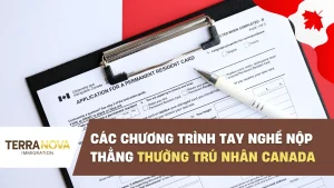 Các chương trình tay nghề nộp thẳng Thường Trú Nhân Canada 2025