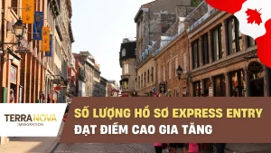Số lượng hồ sơ Express Entry đạt điểm cao gia tăng