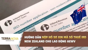Hướng dẫn nộp hồ sơ xin Mã số thuế IRD New Zealand cho lao động AEWV
