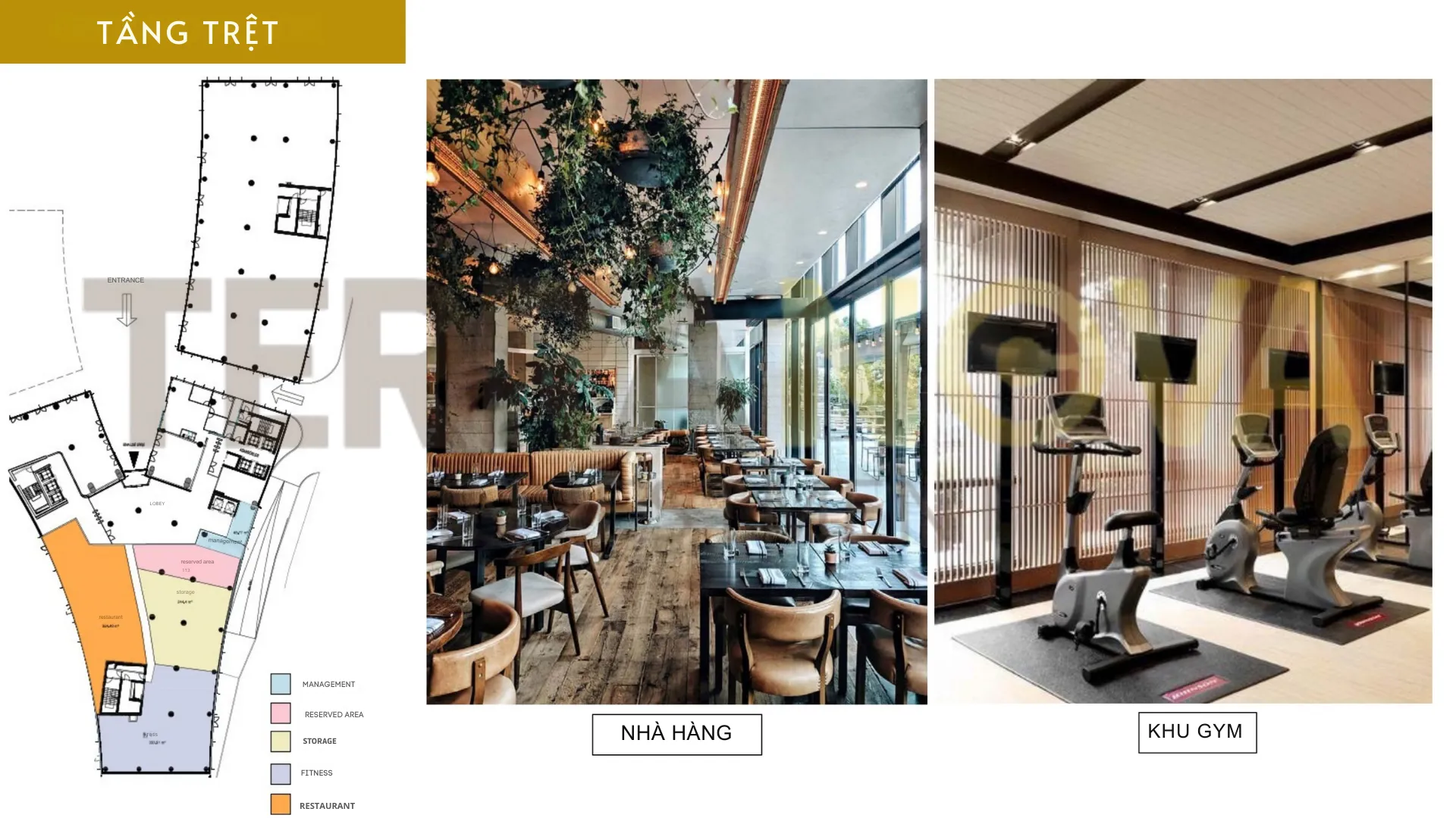 Dự án bất động sản Thổ Nhĩ Kỳ W Suite Istanbul bố trí tại tầng trệt hệ thống tiện ích cơ bản gồm nhà hàng, phòng gym hiện đại, khu giặt sấy, kho lưu trữ và phòng vui chơi trẻ em.