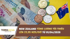 New Zealand tăng lương tối thiểu lên 23,95 NZD/giờ từ 01/04/2026