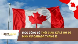 IRCC công bố thời gian xử lý hồ sơ định cư Canada tháng 12: Tin vui cho hồ sơ du học và PGP