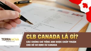 CLB Canada là gì? Các chứng chỉ Tiếng Anh được chấp thuận cho hồ sơ định cư Canada