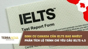 Định cư Canada cần IELTS bao nhiêu? Phân tích lộ trình định cư chỉ yêu cầu IELTS 4.5