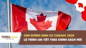 Con đường định cư Canada 2026: Lộ trình chi tiết theo chính sách mới