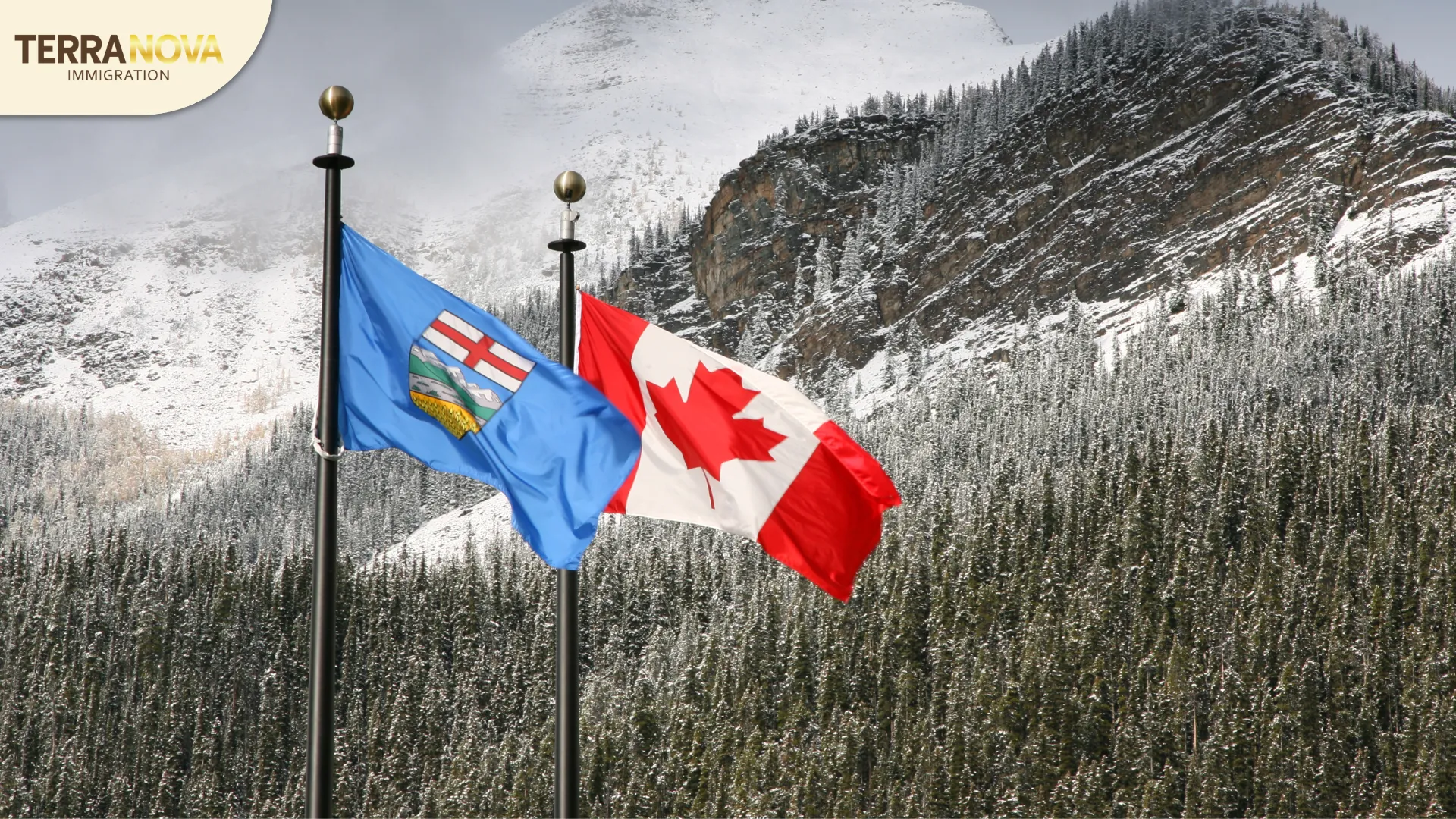 Từ 01/01/2026, các tiêu chí xét duyệt diện Rural Renewal Stream của Alberta chính thức được siết chặt và áp dụng theo quy định mới.