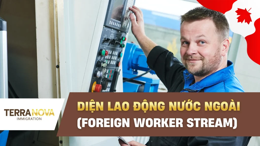 Diện Lao Động Nước Ngoài (Foreign Worker Stream): Lộ trình định cư Ontario cho lao động tay nghề cao