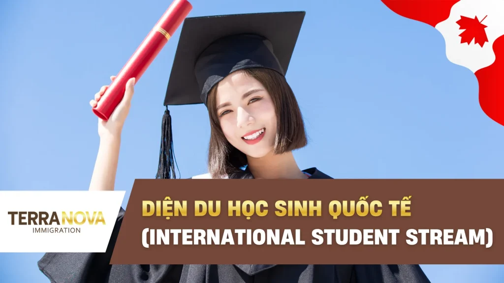 Diện Du Học Sinh Quốc Tế (International Student Stream): Lộ trình định cư Ontario rõ ràng cho du học sinh Canada