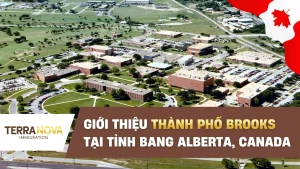 Giới thiệu thành phố Brooks tại tỉnh bang Alberta, Canada