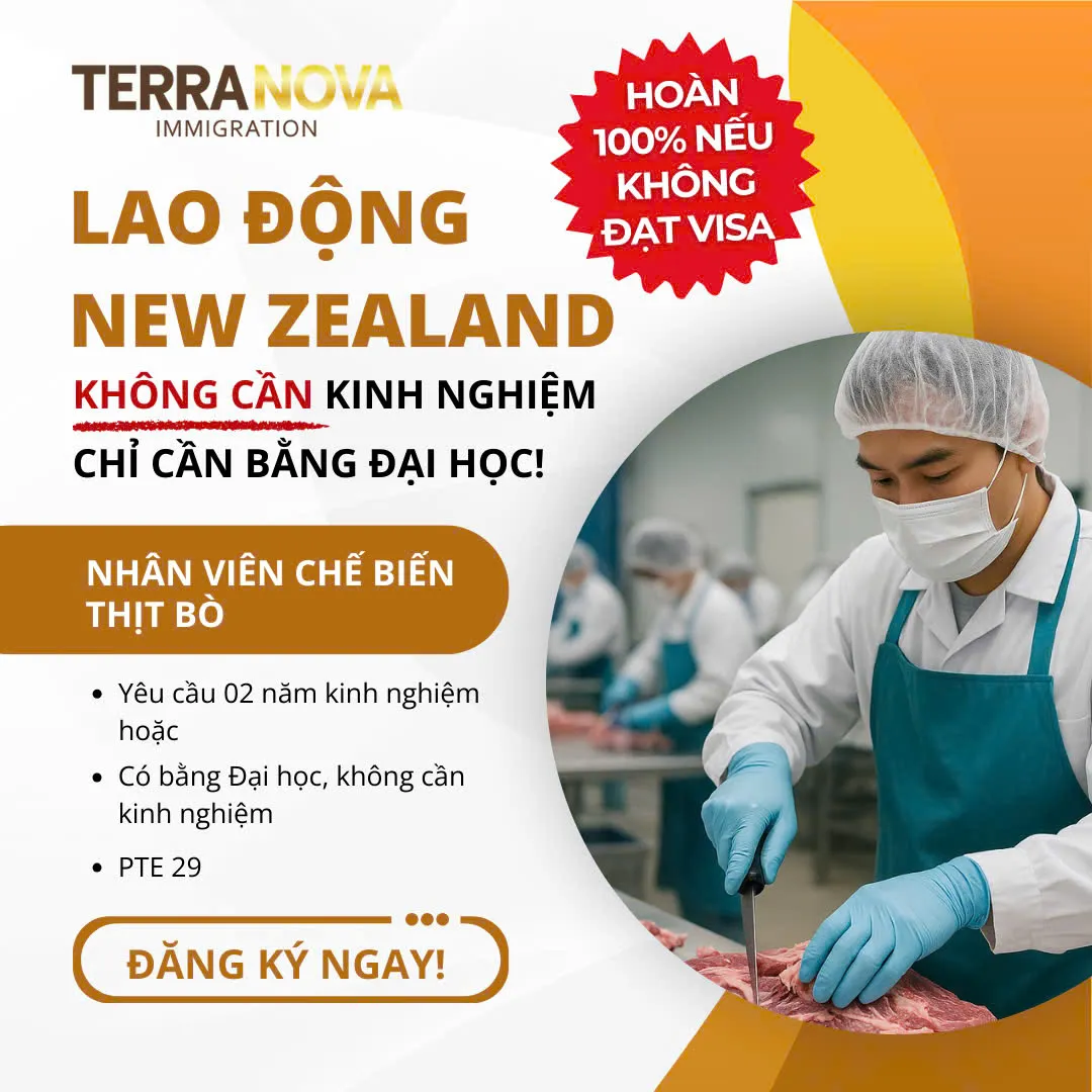 Vị trí nhân viên chế biến thịt bò mở ra cơ hội tiếp cận thị trường lao động New Zealand linh hoạt hơn, đặc biệt với ứng viên có bằng Đại học nhưng chưa có nhiều kinh nghiệm. 