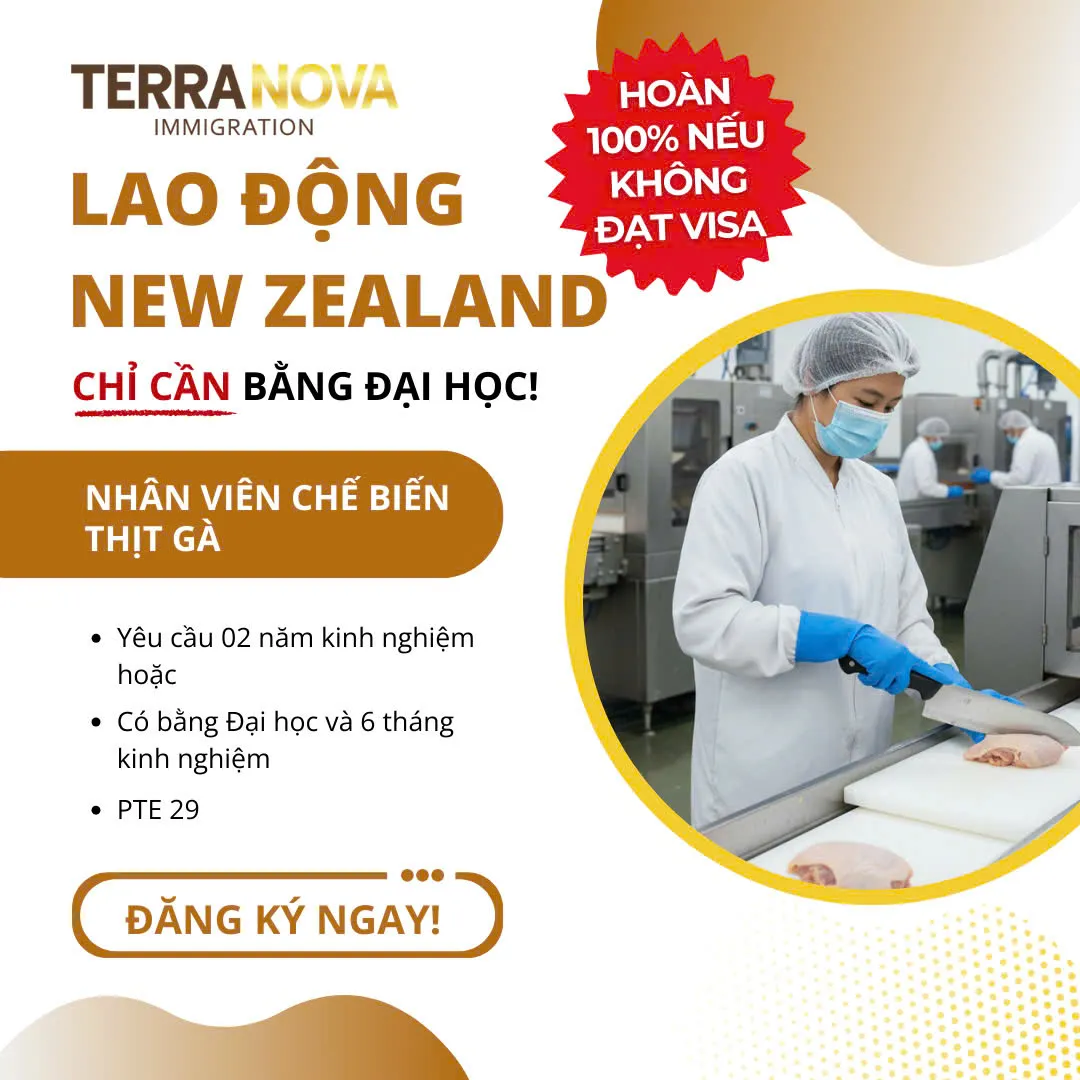 Vị trí nhân viên chế biến thịt gà mang lại điều kiện tiếp cận linh hoạt hơn so với nhiều ngành nghề khác, đặc biệt khi kinh nghiệm có thể được thay thế hoặc rút ngắn nhờ bằng cấp.