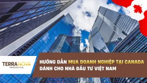 Hướng dẫn mua doanh nghiệp tại Canada dành cho nhà đầu tư Việt Nam