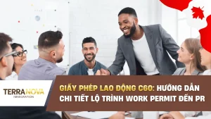Giấy Phép Lao Động C60: Hướng dẫn chi tiết lộ trình Work Permit đến PR theo Diện Đầu Tư Tỉnh Bang PNP