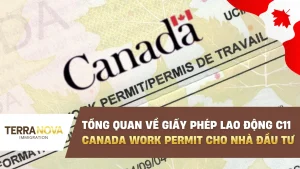Tổng quan về Giấy Phép Lao Động C11: Canada Work Permit cho nhà đầu tư