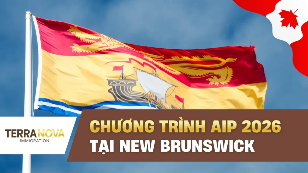Chương trình AIP 2026 tại New Brunswick: Điều kiện, quy trình và những thay đổi quan trọng cần biết