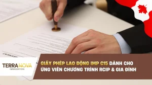 Giấy Phép Lao Động IMP C15 dành cho ứng viên chương trình RCIP và gia đình