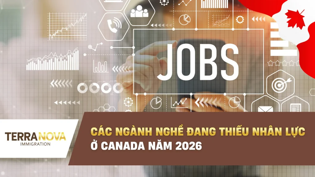 Các ngành nghề đang thiếu nhân lực ở Canada năm 2026