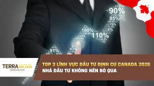 Top 3 lĩnh vực đầu tư định cư Canada 2026 nhà đầu tư không nên bỏ qua