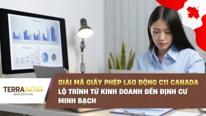 Giấy phép lao động C11 Canada: Lộ trình kinh doanh kết hợp định cư 2026