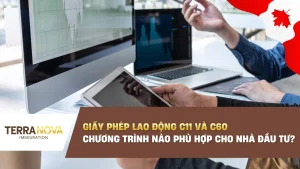 Giấy Phép Lao Động C11 và C60: Chương trình nào phù hợp cho nhà đầu tư?