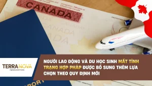 Người lao động và du học sinh mất tình trạng hợp pháp được bổ sung thêm lựa chọn theo quy định mới