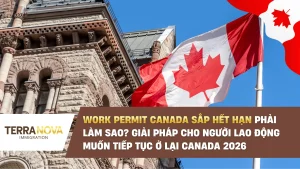 Work Permit Canada sắp hết hạn phải làm sao? Giải pháp cho người lao động muốn tiếp tục ở lại Canada 2026