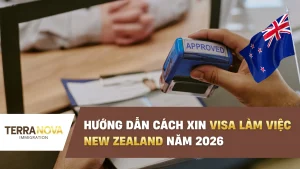 Hướng dẫn cách xin visa làm việc New Zealand năm 2026