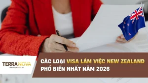 Các loại visa làm việc New Zealand phổ biến nhất năm 2026