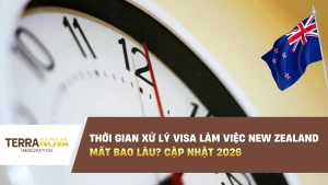 Thời gian xử lý visa làm việc New Zealand mất bao lâu? Cập nhật 2026